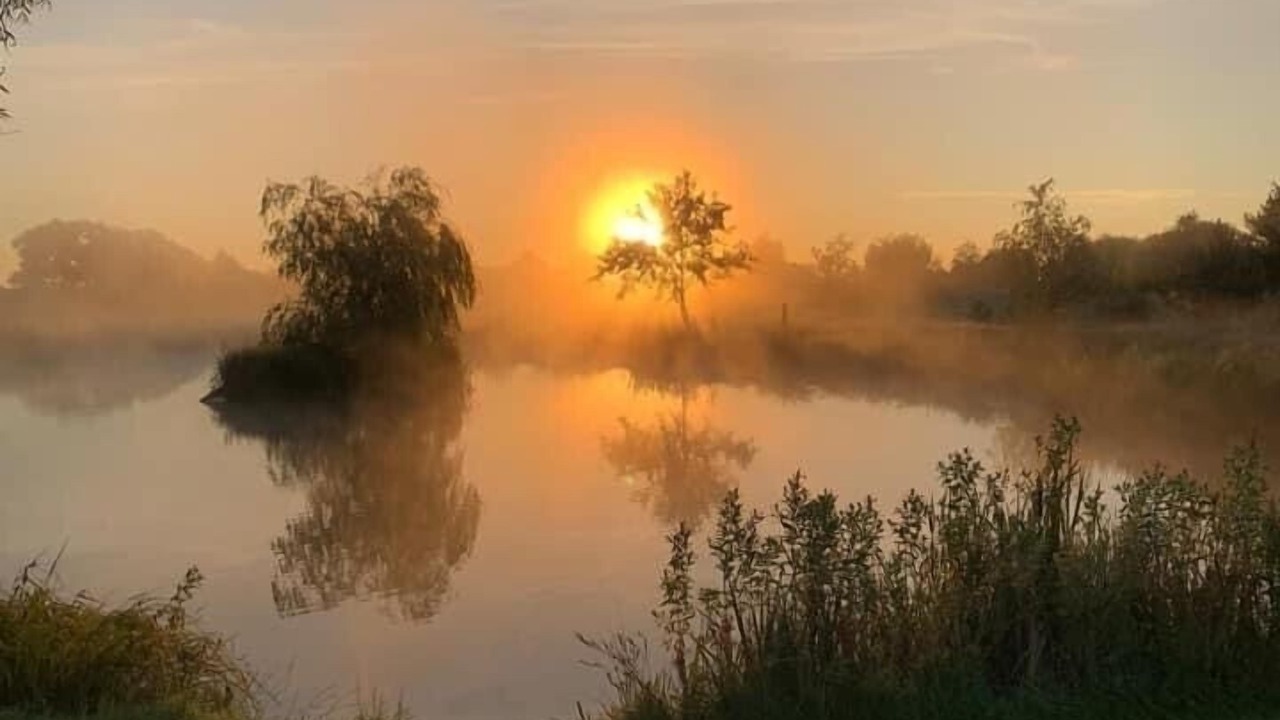 Photo of Others in Winsford