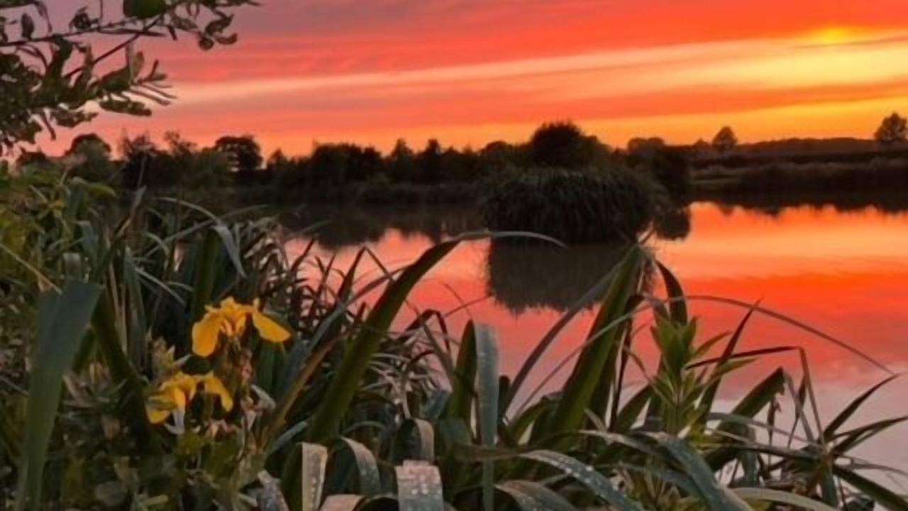 Photo of Others in Winsford