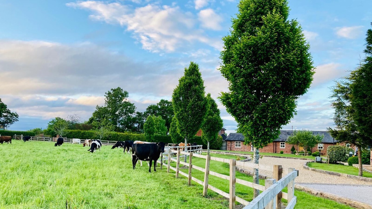 Photo of Others in Winsford