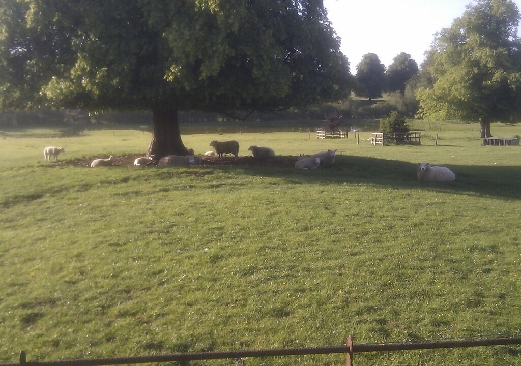 Photo of Outdoor in East Haddon