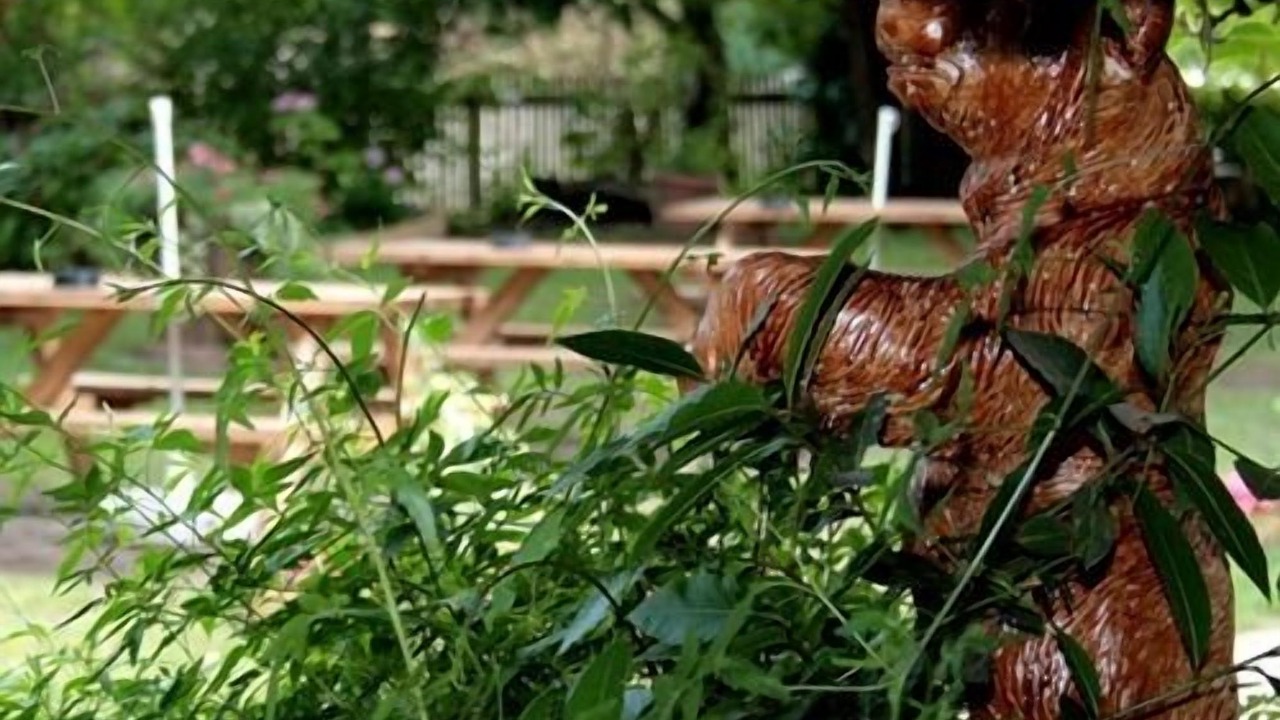 Photo of Outdoor in Lindfield