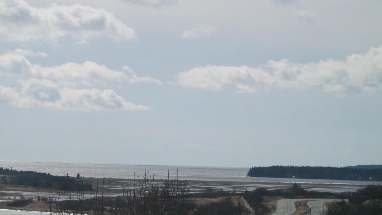 Photo of Others in Saint John