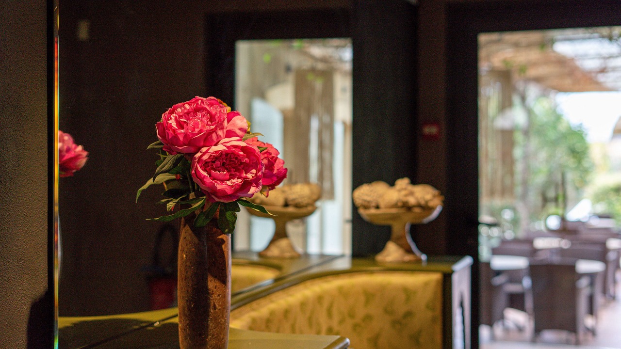 Photo of Others in Lourmarin