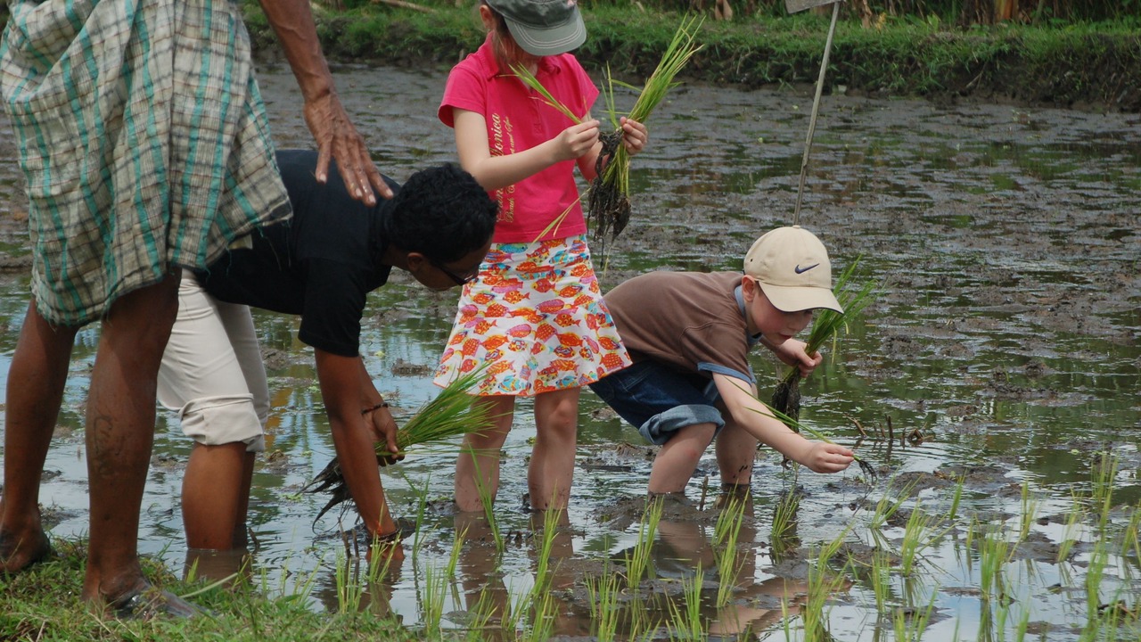 Photo of Others in Timbulharjo