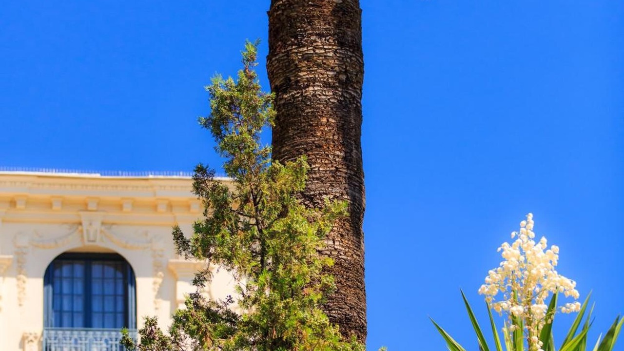 Photo of Outdoor in Menton