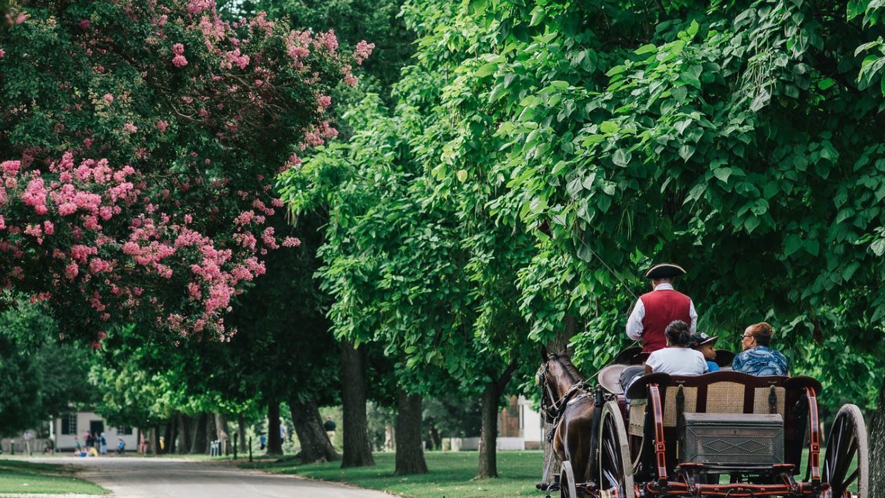 Photo of Others in Williamsburg