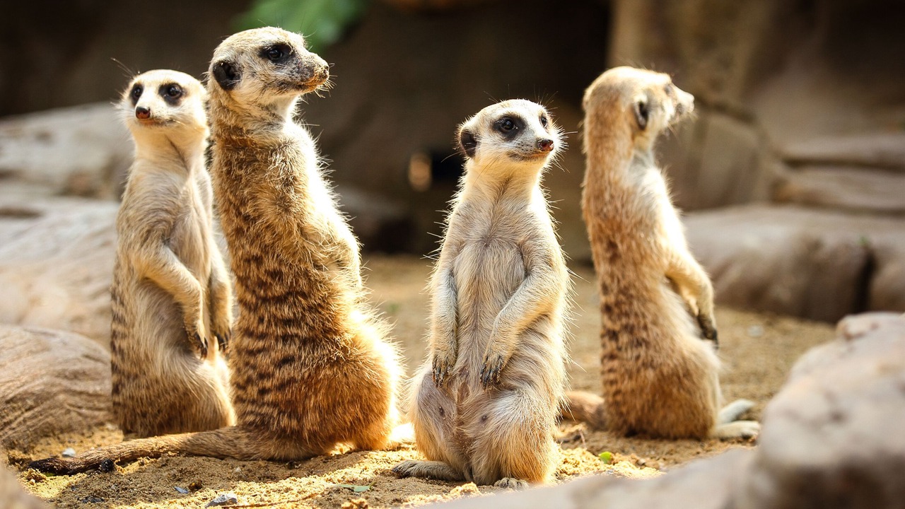 Photo of Others in Warminster