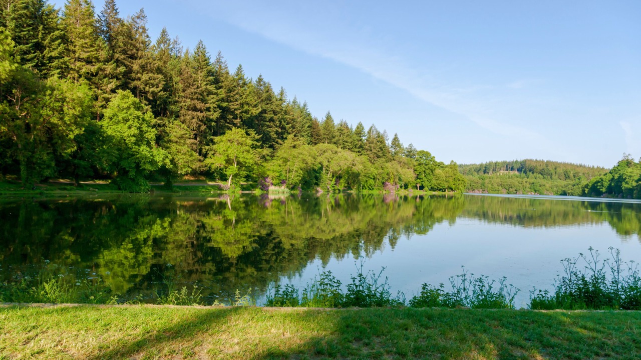 Photo of Others in Warminster