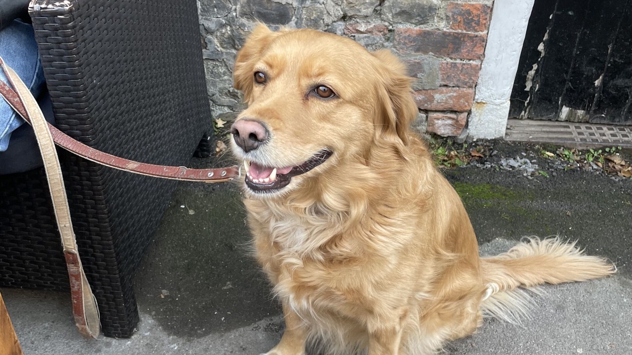 Photo of Others in Warminster