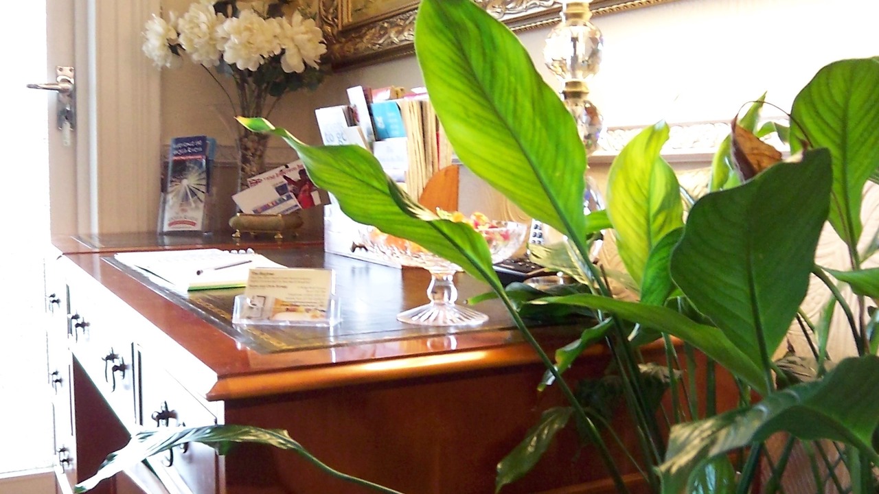 Photo of Others in Torquay City Centre