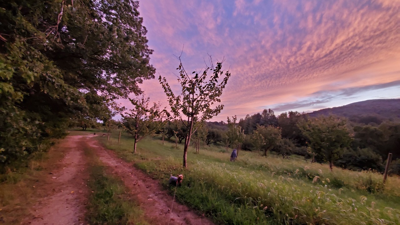 Photo of Outdoor in Cana