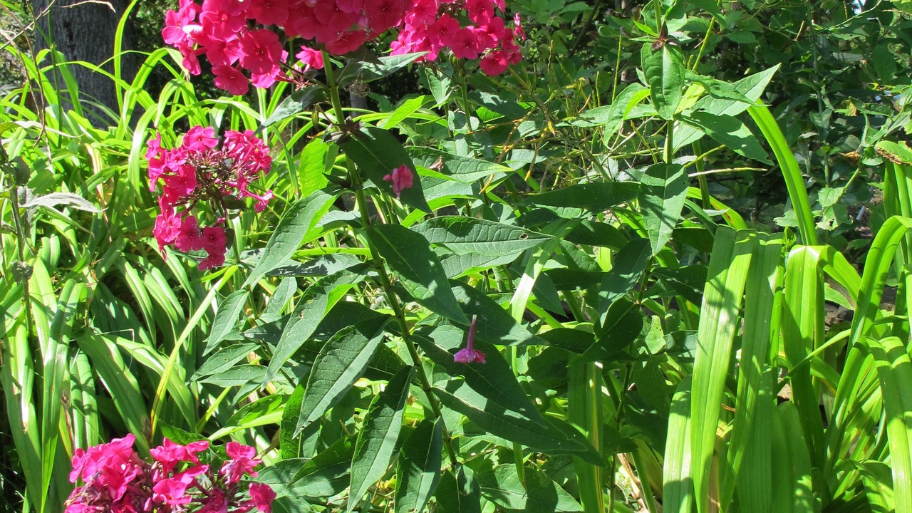Photo of Outdoor in Parrsboro