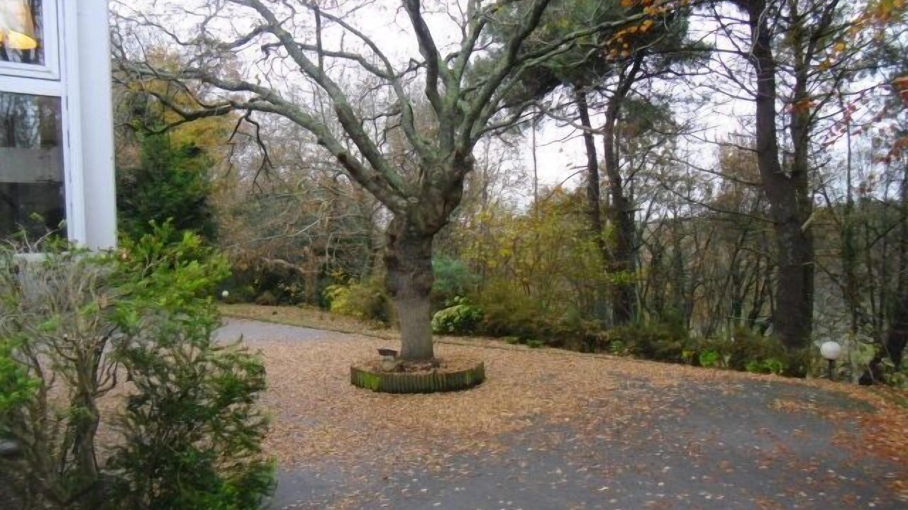 Photo of Others in Auray