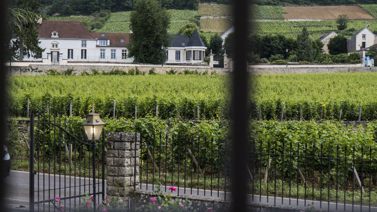 Photo of Others in Gevrey-Chambertin