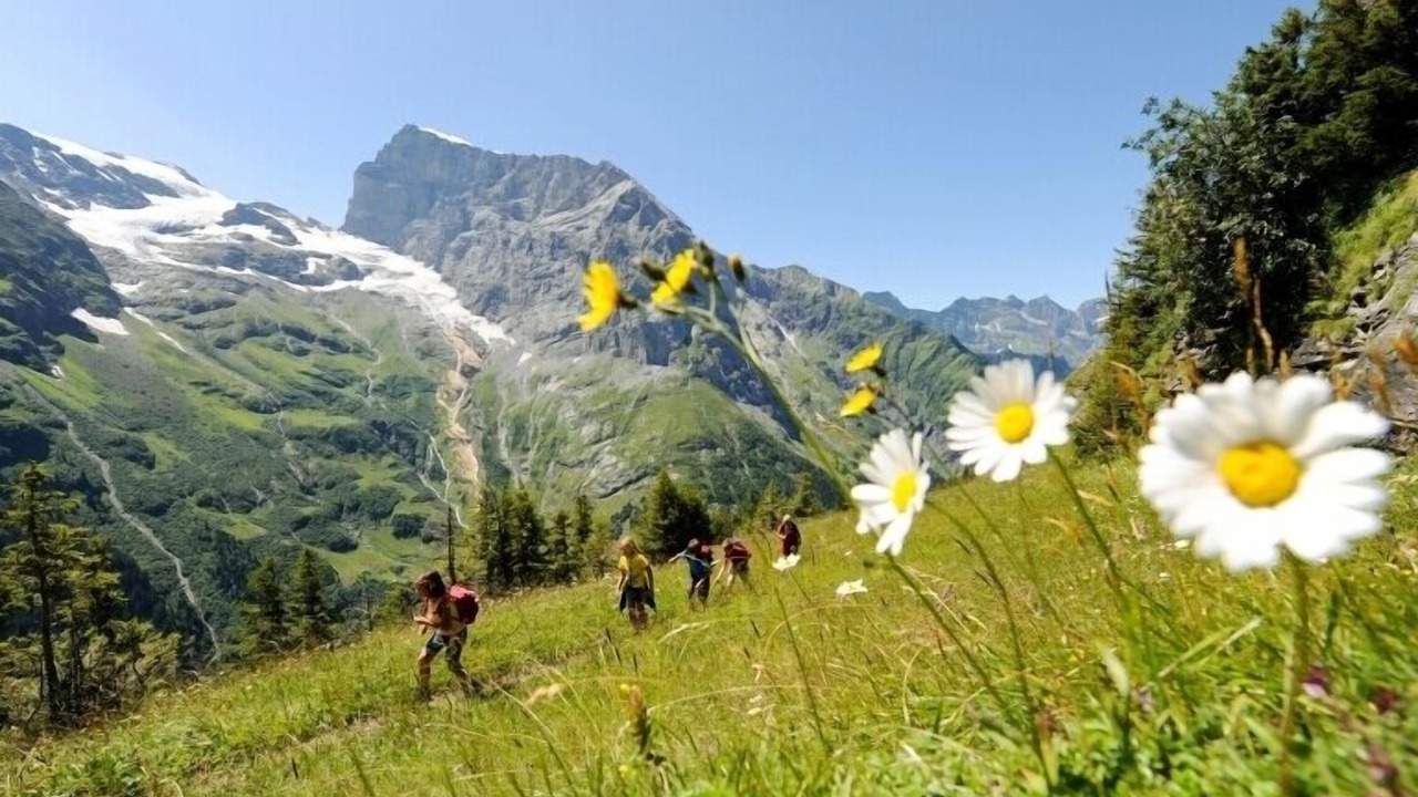 Photo of Others in Engelberg