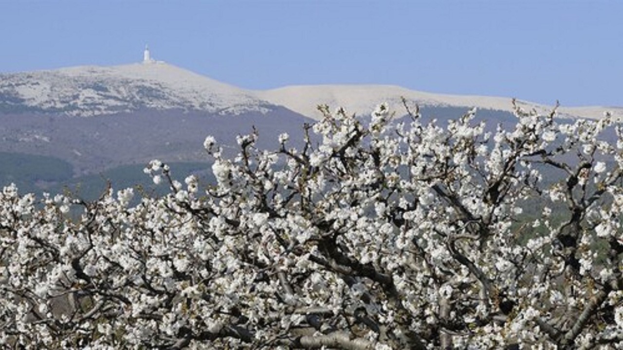 Photo of Outdoor in Carpentras