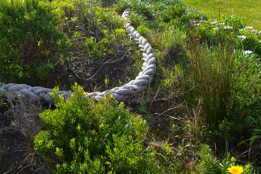 Photo of Outdoor in Cape Bridgewater