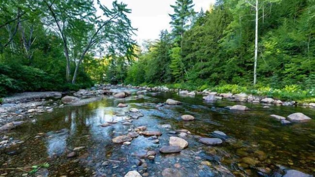 Photo of Outdoor in Jackson