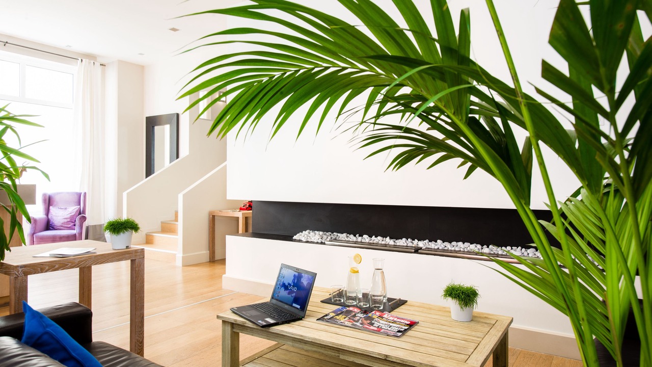 Photo of Livingroom in Lourdes