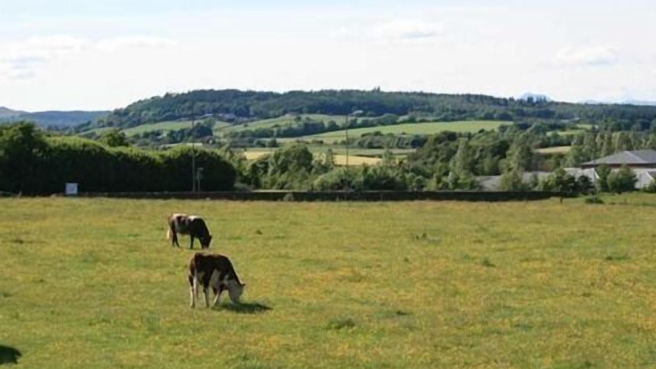 Photo of Others in Stirling