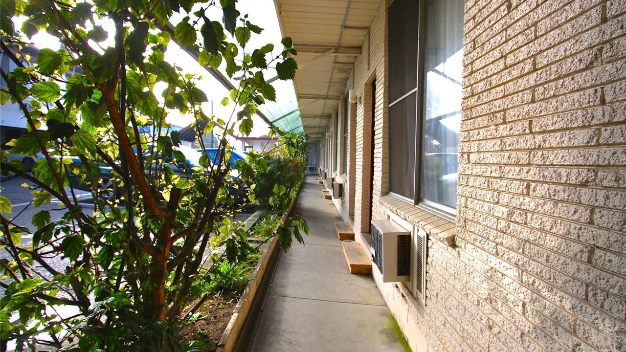 Photo of Outdoor in Mont Albert