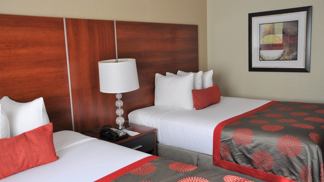 Photo of Others in Willowbrook