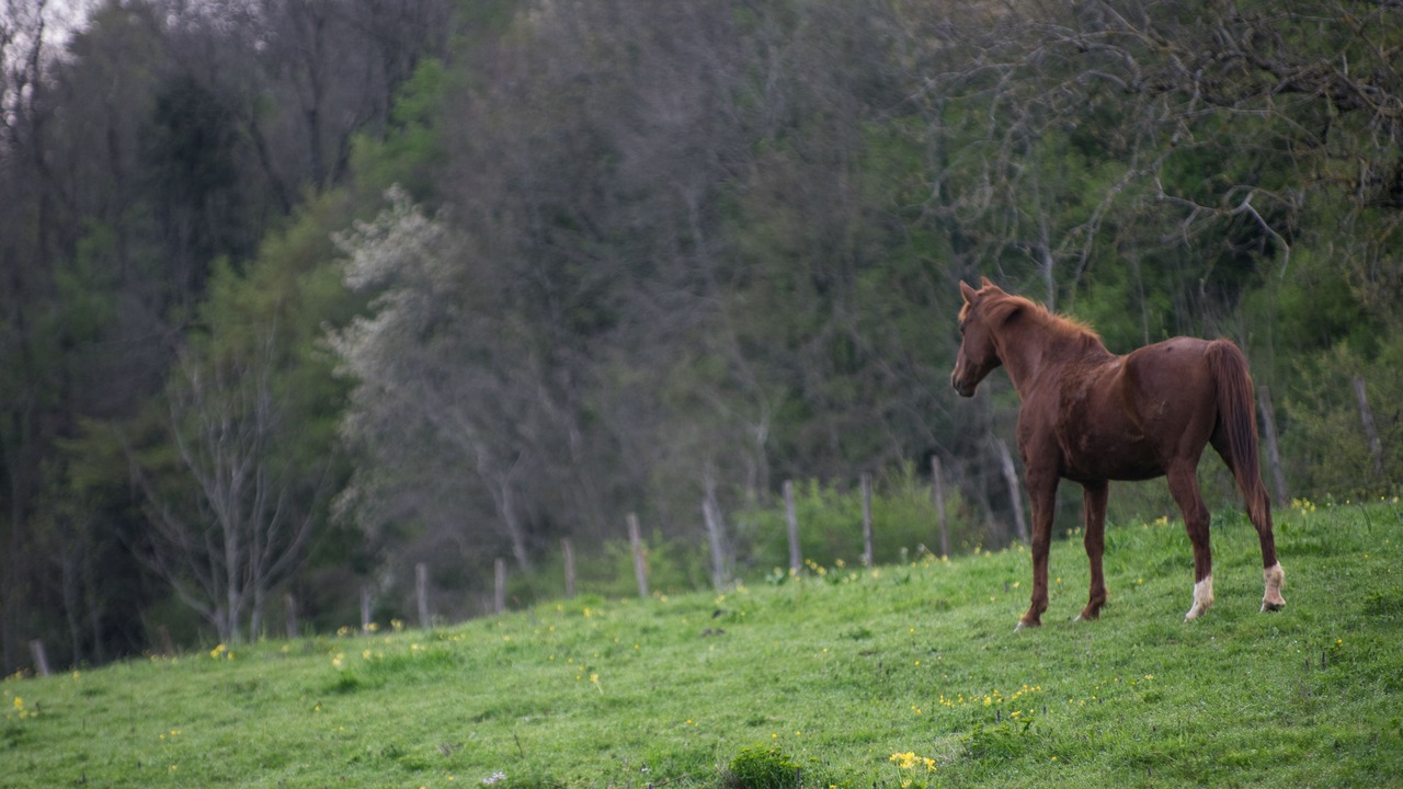 Photo of Outdoor in Passenans