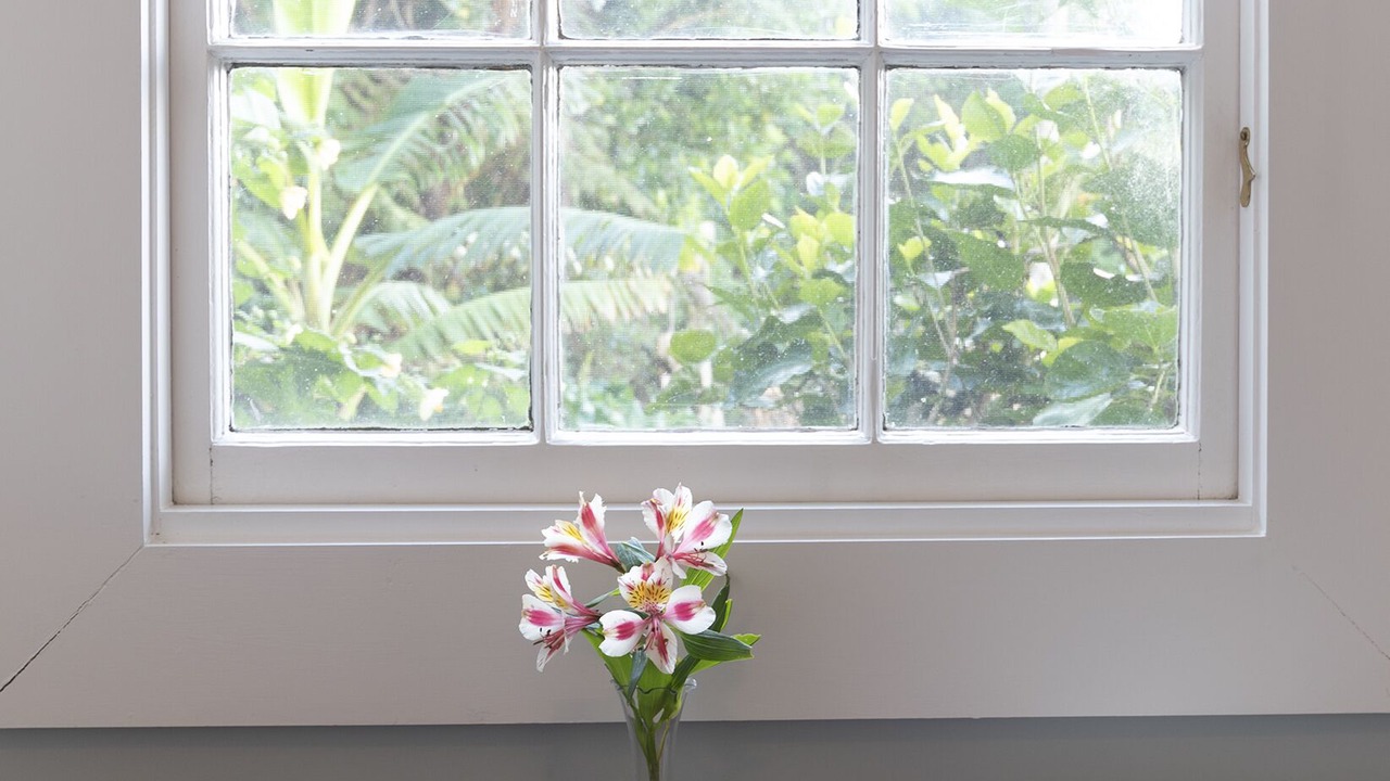 Photo of Others in Mangonui