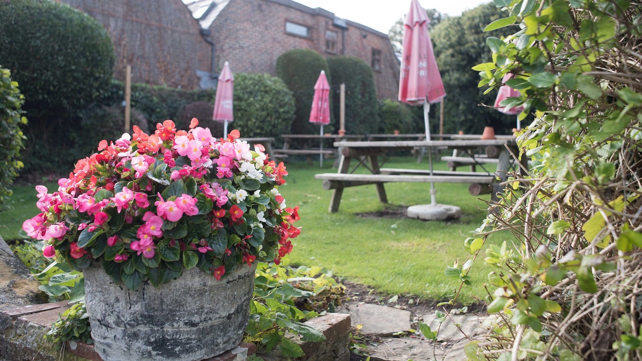 Photo of Outdoor in Findon