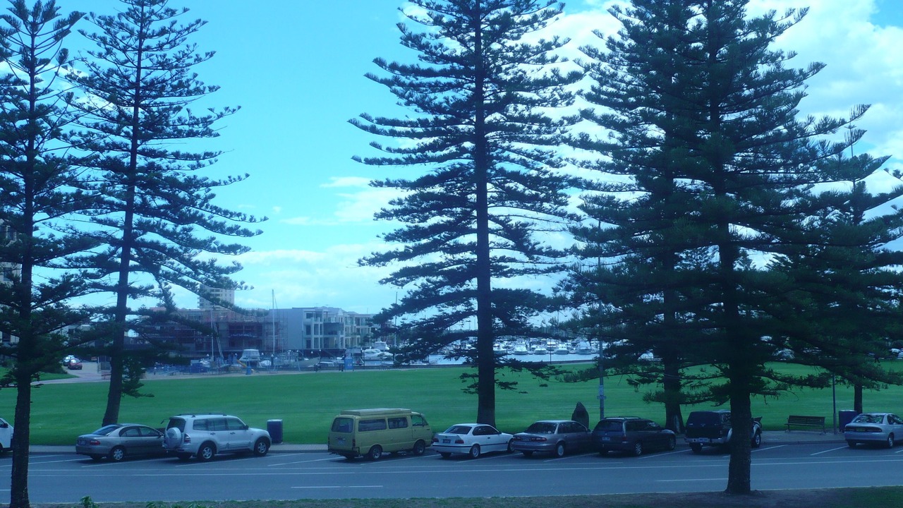 Photo of Others in Glenelg