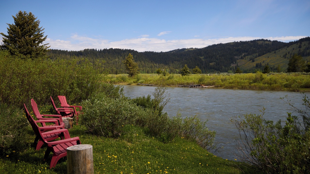 Photo of Outdoor in Moran