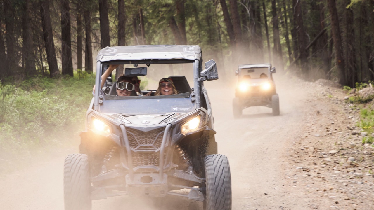 Photo of Others in Moran