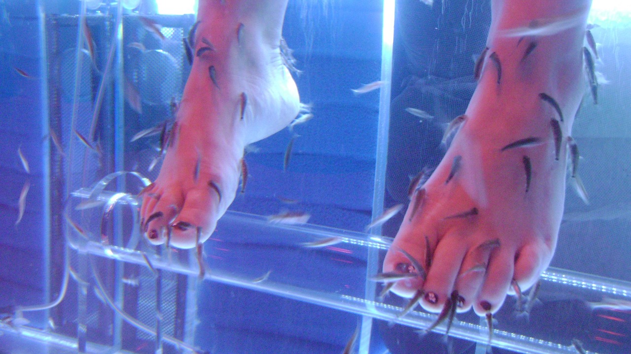 Photo of Bedroom in Bagnoles-de-l'Orne