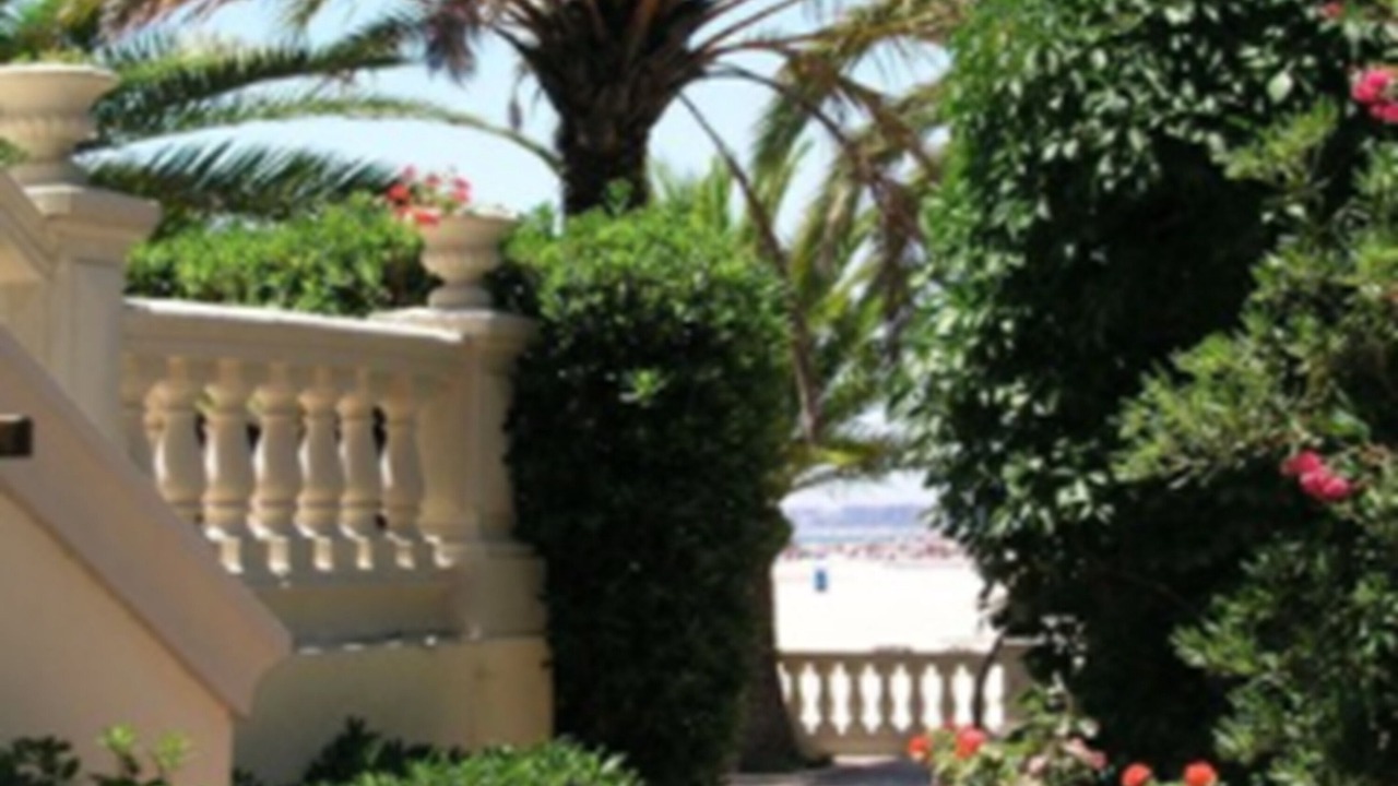 Photo of Outdoor in Benicassim