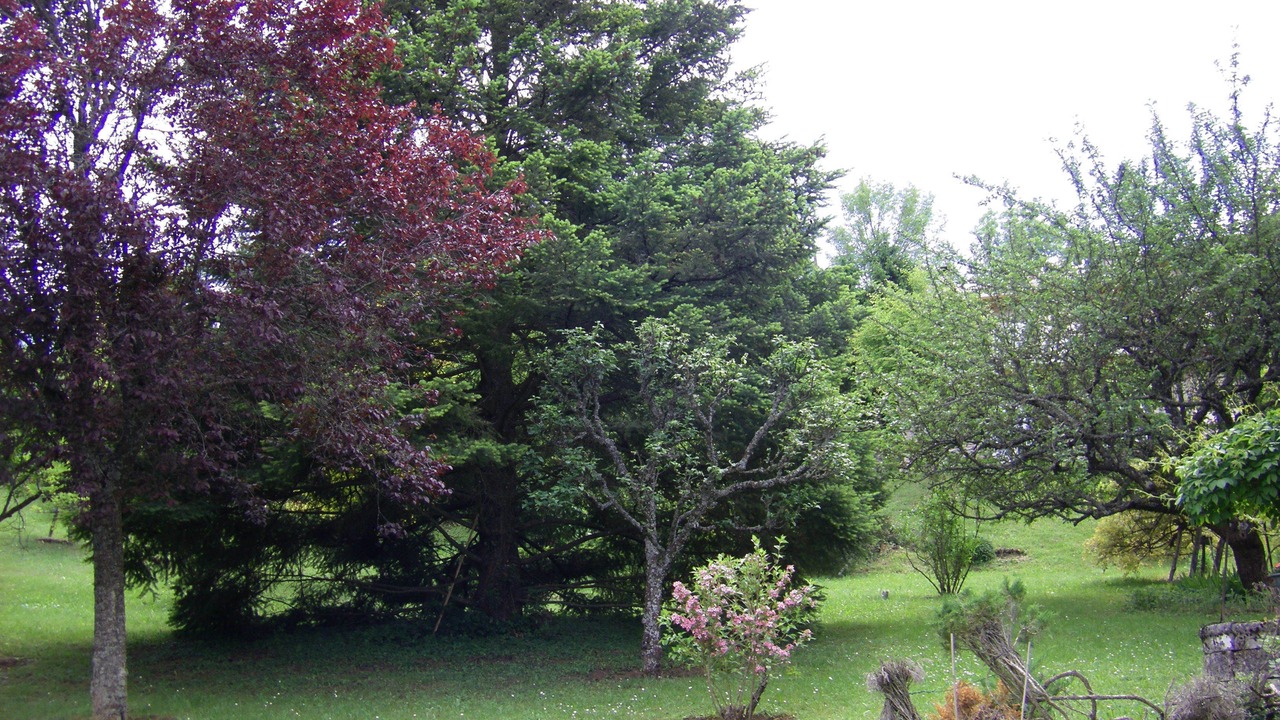 Photo of Outdoor in Meyrueis