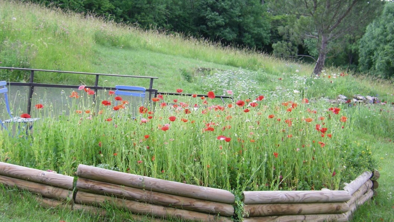 Photo of Outdoor in Meyrueis