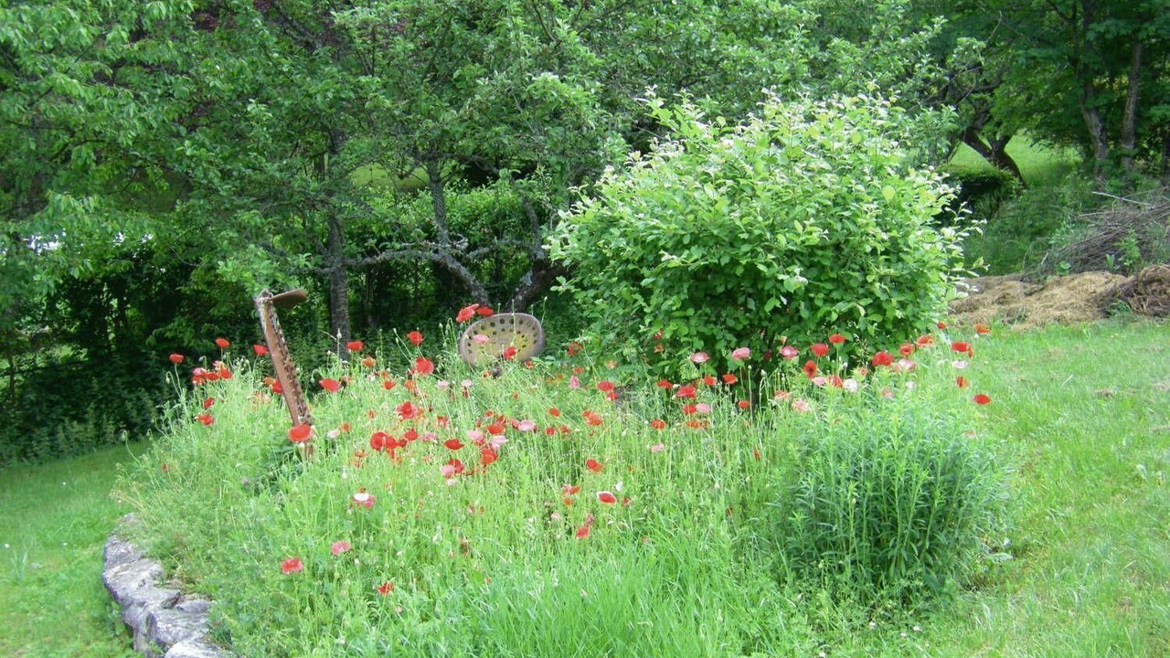 Photo of Outdoor in Meyrueis