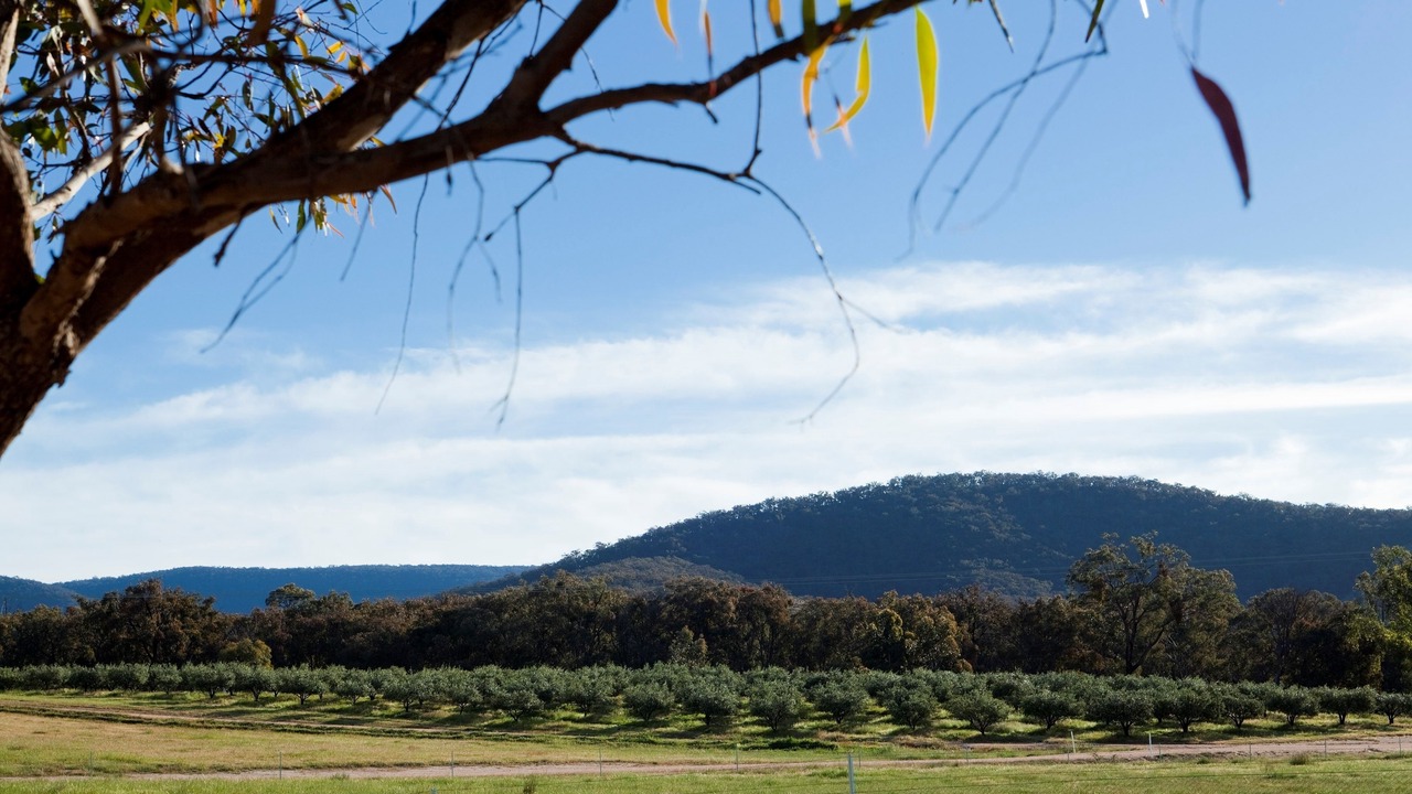 Photo of Others in Percydale