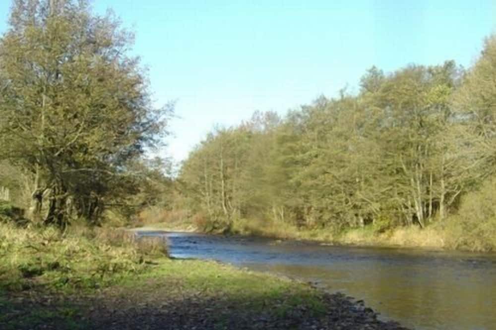 Photo of Others in Newcastleton