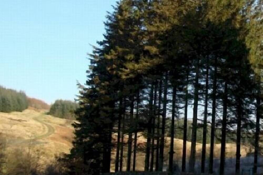 Photo of Others in Newcastleton