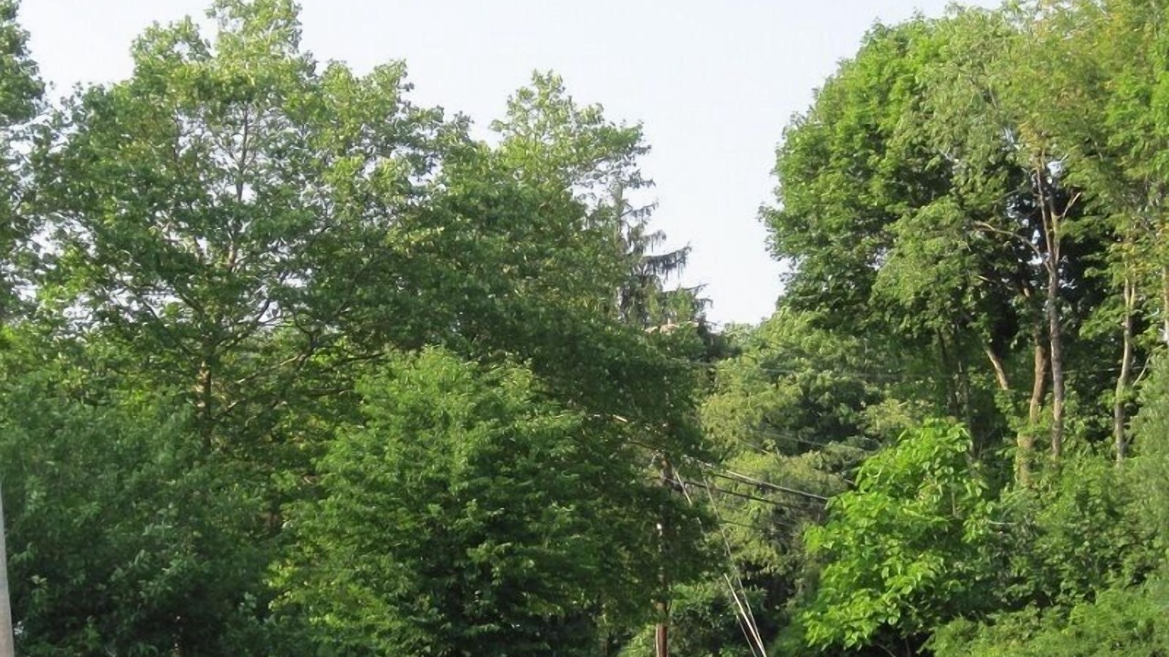 Photo of Others in Mahopac