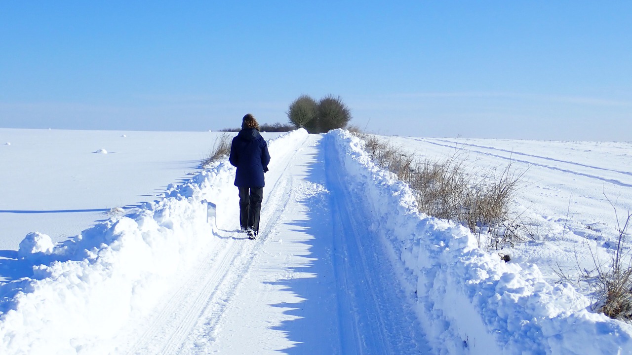 Photo of Others in Froxfield