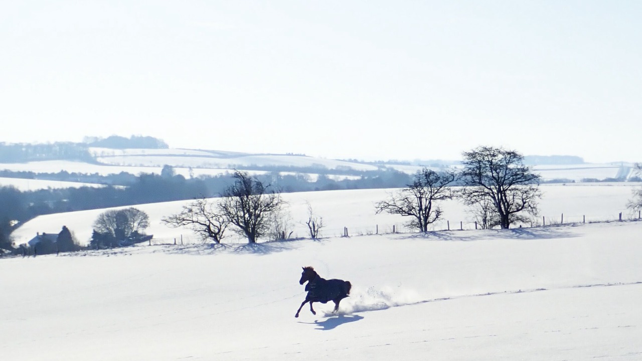 Photo of Others in Froxfield