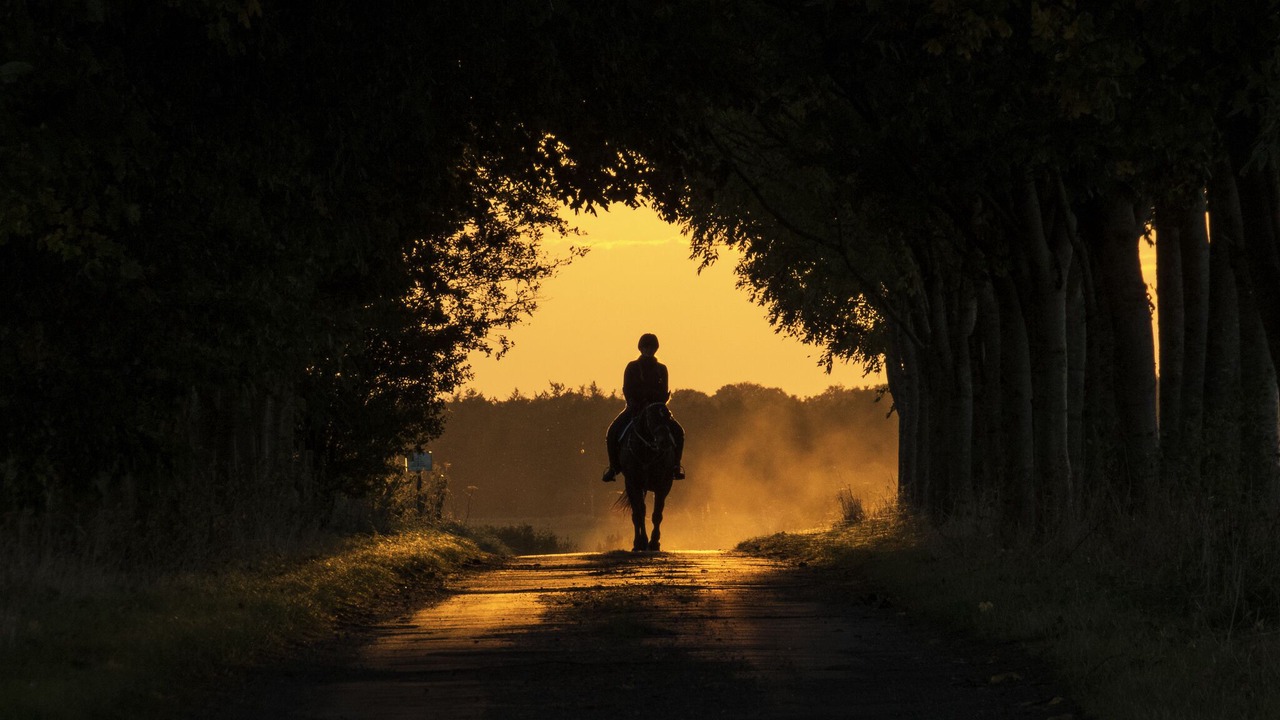 Photo of Others in Froxfield