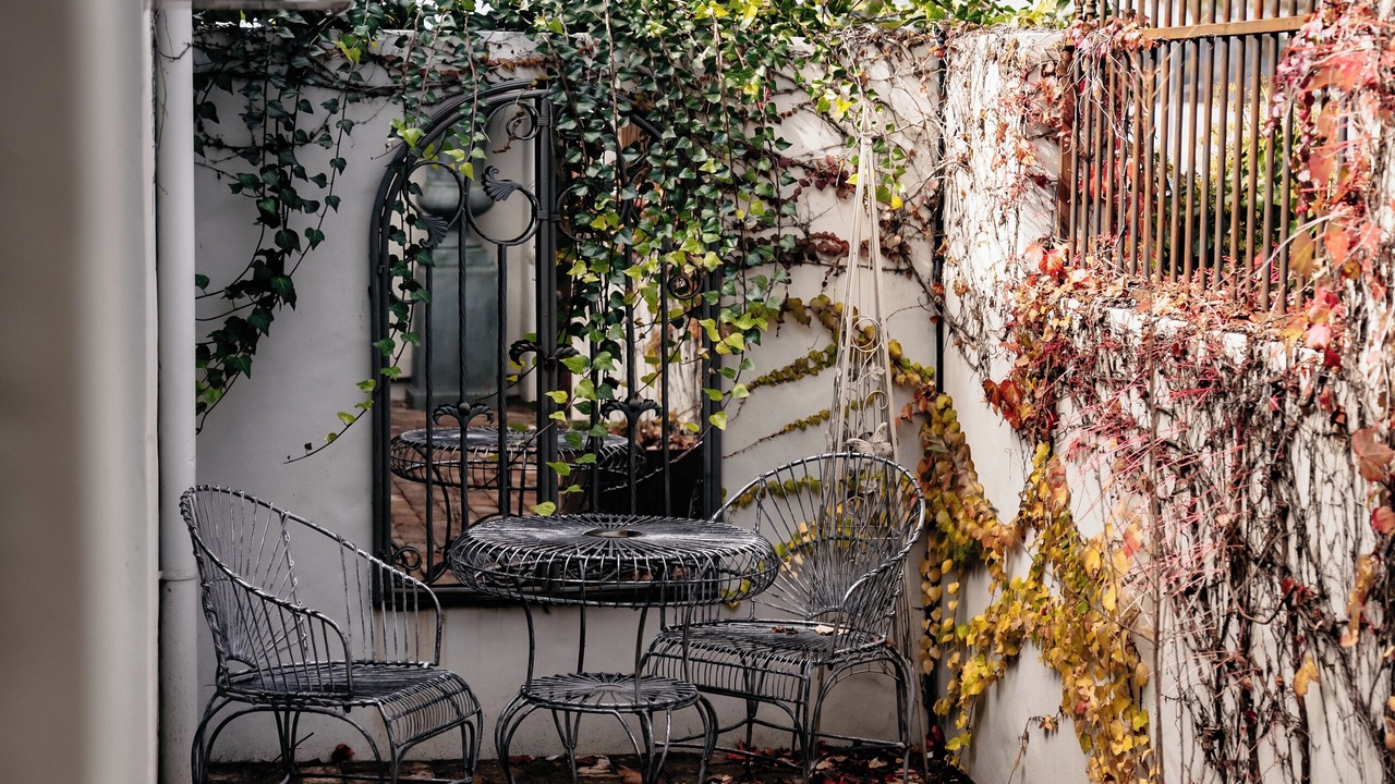 Photo of Outdoor in Orange