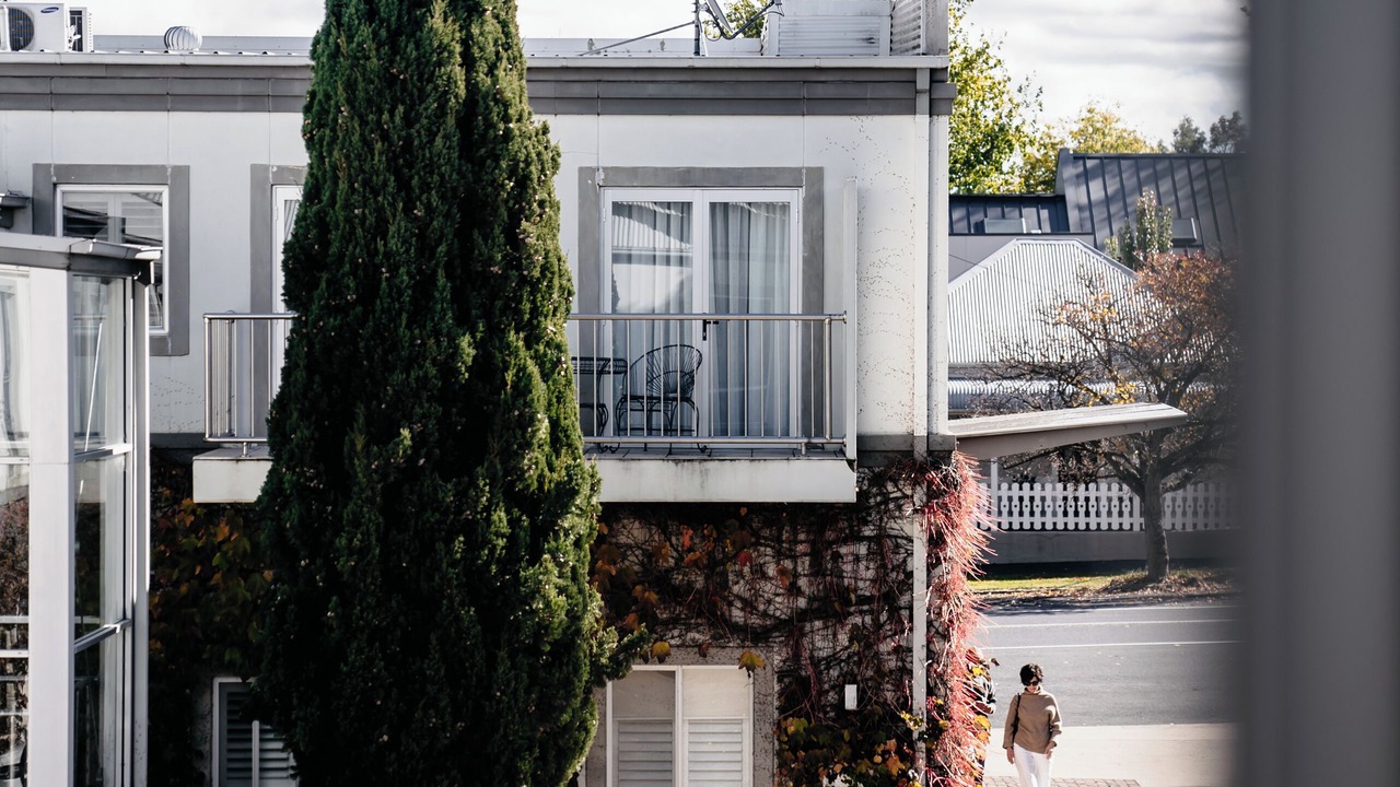 Photo of Others in Orange