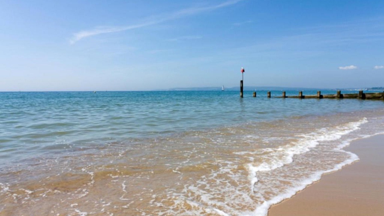 Photo of Others in Frome Saint Quinton