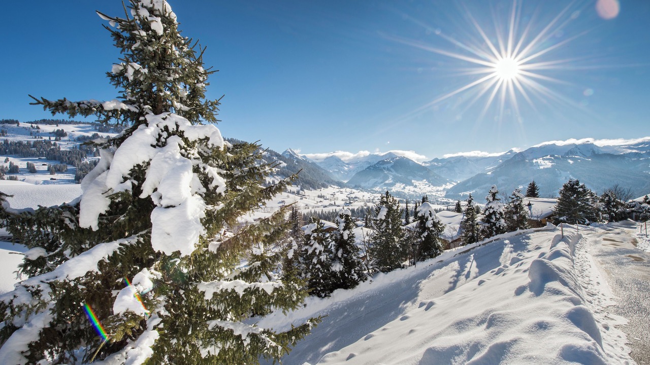 Photo of Others in Saanen
