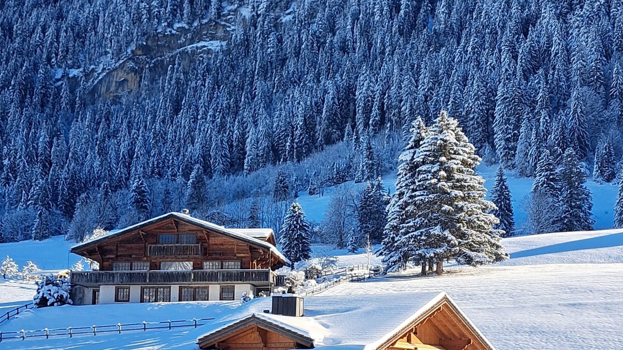 Photo of Bedroom in Saanen