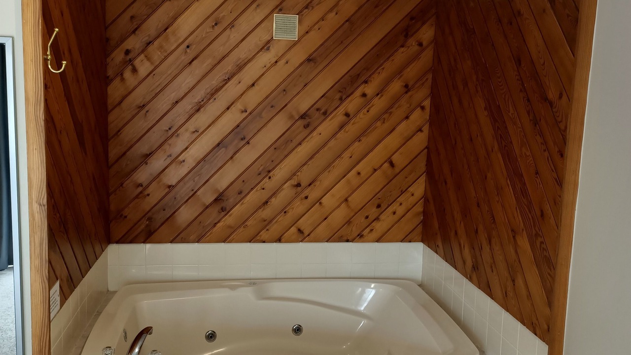 Photo of Others in Tauranga